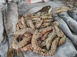 Fethiye Balık Turu - Fotoğraf 5