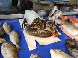 Fethiye Balık Turu - Fotoğraf 4