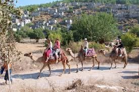 Deve Safari Turu (Kayaköy) - Fotoğraf 3