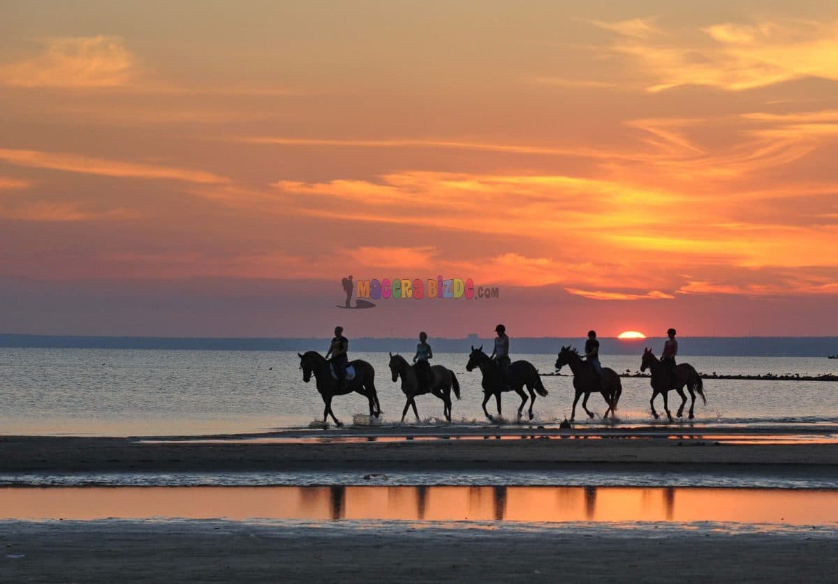 Denizde at turu ile sahil boyunca ve denizin içinde eşsiz bir at binme deneyimi yaşayın. Rehberli, güvenli ve yeni başlayanlara uygun. - Fotoğraf 1