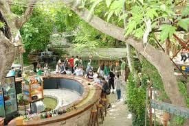 Saklıkent - Tlos - Yakapark Turu - Fotoğraf 1