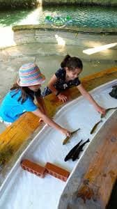 Saklıkent Safari Turu - Fotoğraf 9